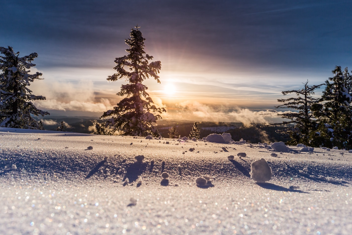 Winter landscape